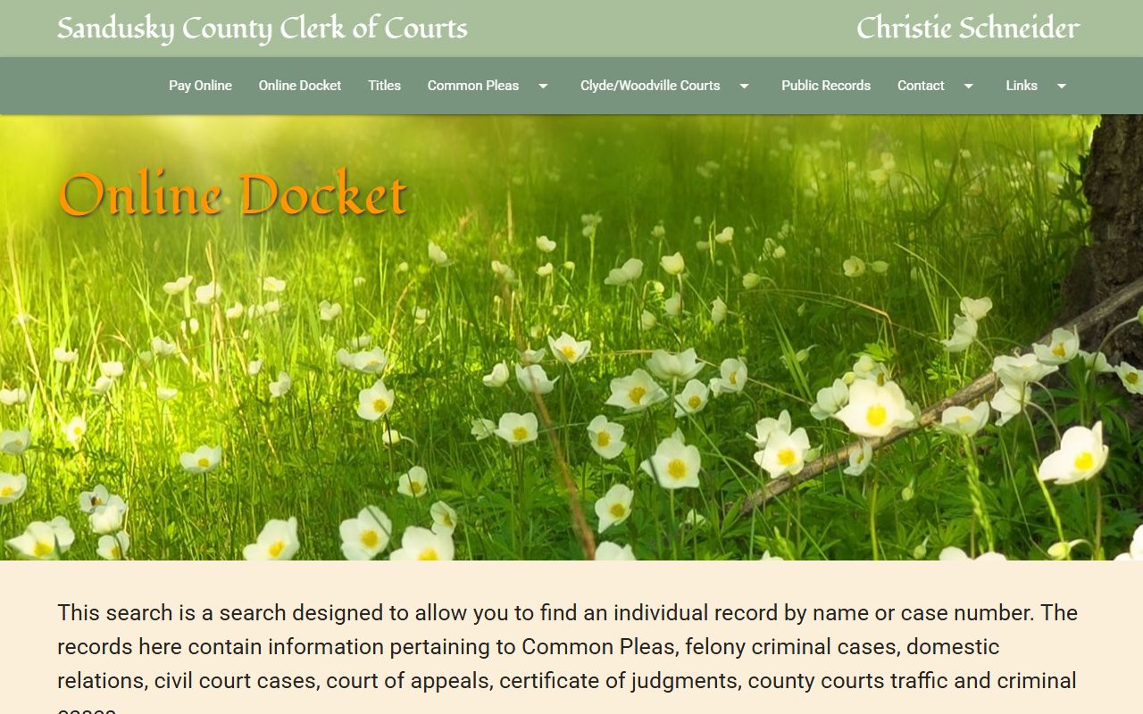 Sandusky County Clerk docket disclaimer for certified court records after arrest